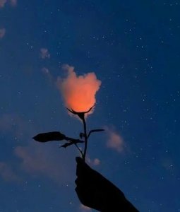 �L��<a href='http://dsjianglang.com/smz/' target='_blank' title='ʧ�߰Y'><span style='color: #0000ff'><strong>ʧ�߰Y</strong></span></a>�ί��t(y��)Ժ