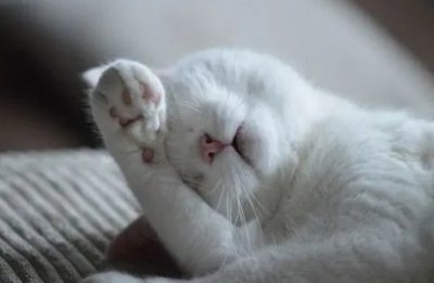 �L��<a href='http://dsjianglang.com/smz/' target='_blank' title='ʧ�߰Y'><span style='color: #0000ff'><strong>ʧ�߰Y</strong></span></a>�ί��t(y��)Ժ