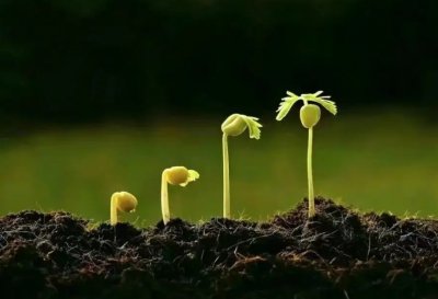 �L(zh��ng)��<a href='http://dsjianglang.com/smz/' target='_blank' title='ʧ�߰Y'><span style='color: #0000ff'><strong>ʧ�߰Y</strong></span></a>�ί��t(y��)Ժ